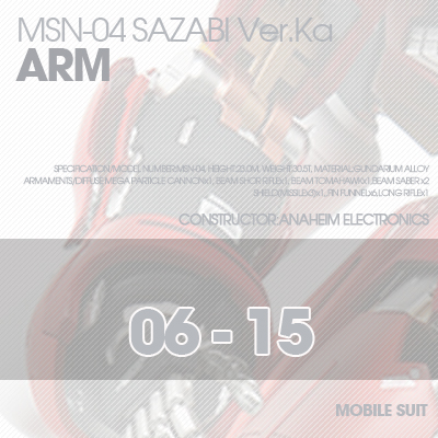 MG] MSN-04 SAZABI Ver.Ka ARM 06-15