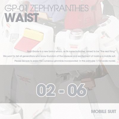 RG] Zephyranthes WAIST 02-06