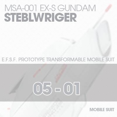 MG] EX-S GUNDAM Steblwriger 05-01