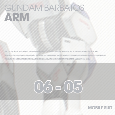 INJECTION] Barbatos 1/100 ARM 06-05