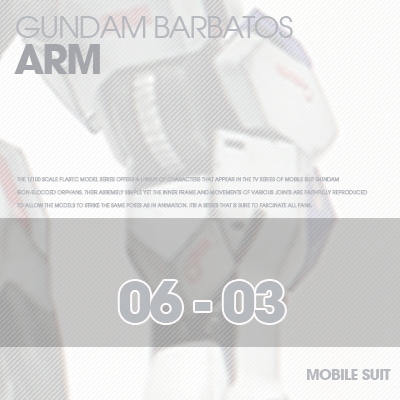 INJECTION] Barbatos 1/100 ARM 06-03