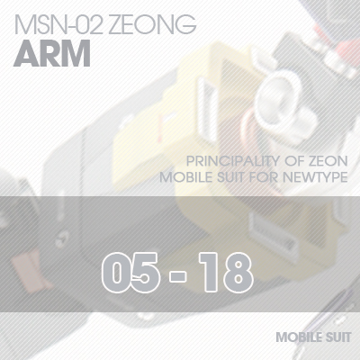 MG] MSN-02 ZEONG ARM 05-18