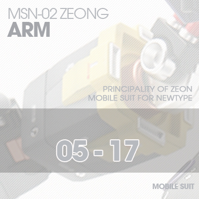 MG] MSN-02 ZEONG ARM 05-17