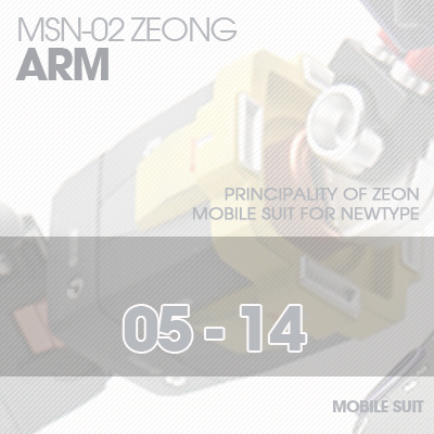 MG] MSN-02 ZEONG ARM 05-14