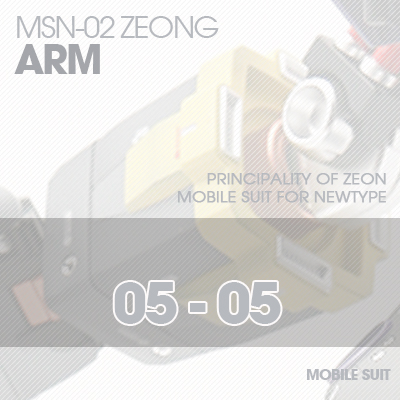 MG] MSN-02 ZEONG ARM 05-05