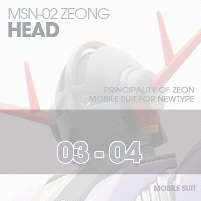 MG] MSN-02 ZEONG HEAD 03-04