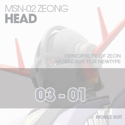 MG] MSN-02 ZEONG HEAD 03-01