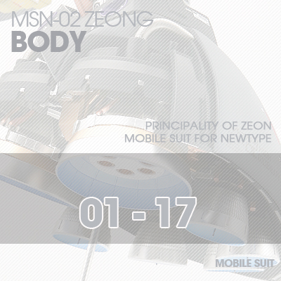 MG] MSN-02 ZEONG BODY02 01-17