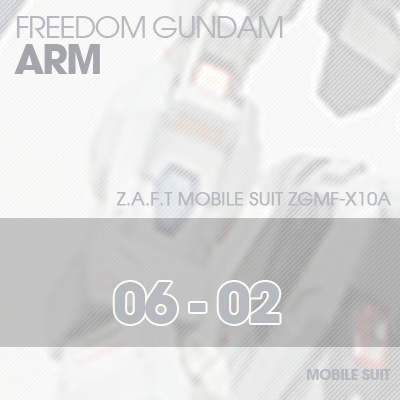 MG] ZGMF-X10A FREEDOM GUNDAM ARM 06-02