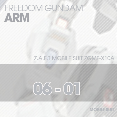 MG] ZGMF-X10A FREEDOM GUNDAM ARM 06-01