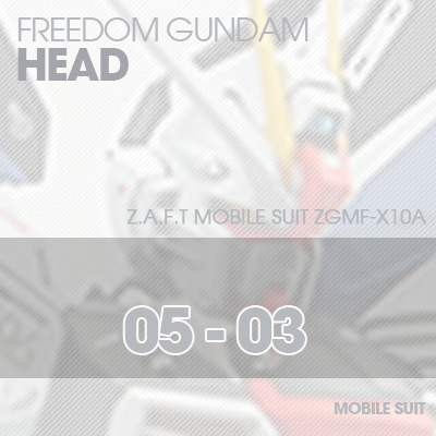 MG] ZGMF-X10A FREEDOM GUNDAM HEAD 05-03