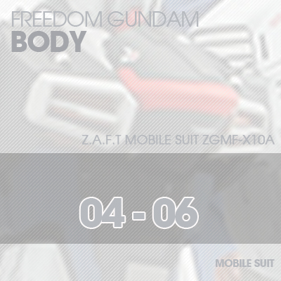 MG] ZGMF-X10A FREEDOM GUNDAM BODY 04-06