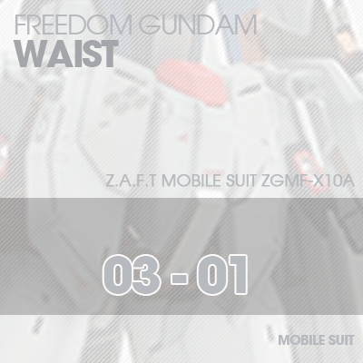 MG] ZGMF-X10A FREEDOM GUNDAM WAIST 03-01