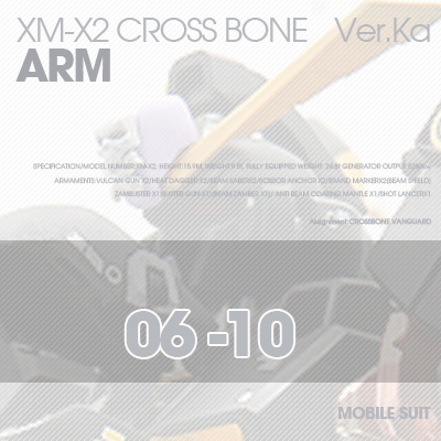 MG] XM-X2 CrossBone ARM 06-10