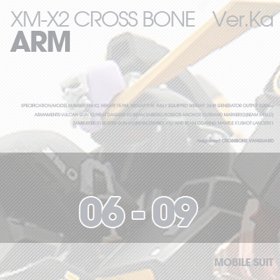 MG] XM-X2 CrossBone ARM 06-09