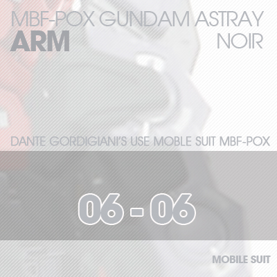 MG] ASTRAY NOIR ARM 06-06