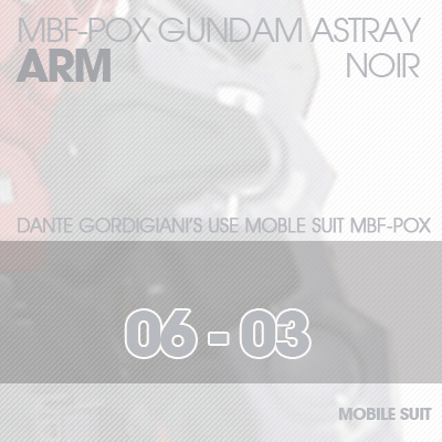 MG] ASTRAY NOIR ARM 06-03