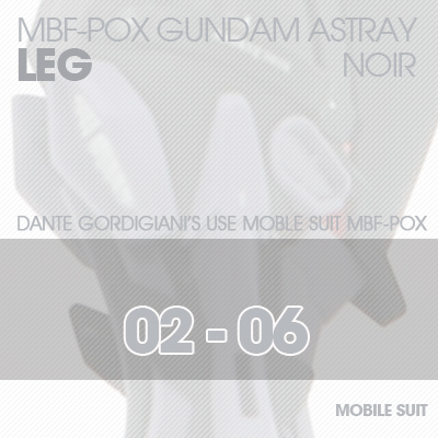 MG] ASTRAY NOIR LEG 02-06