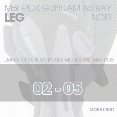 MG] ASTRAY NOIR LEG 02-05