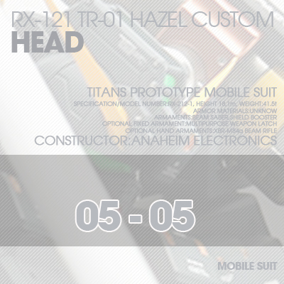 INJECTION] Hazel custom 1/100 HEAD 05-05