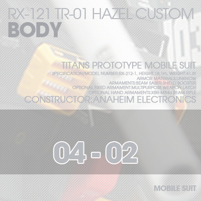 INJECTION] Hazel custom 1/100 BODY 04-02