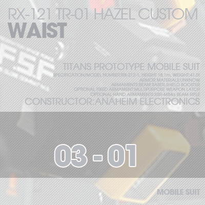 INJECTION] Hazel custom 1/100 WAIST 03-01