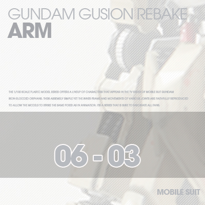 INJECTION] Gusion 1/100 ARM 06-03
