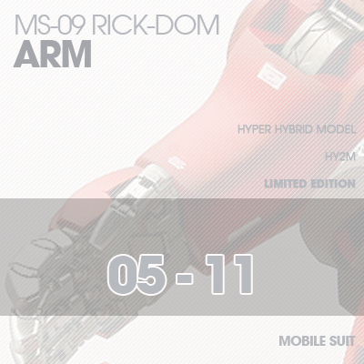 INJECTION] Rick-Dom HY2M 1/60 ARM 05-11