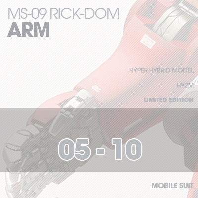 INJECTION] Rick-Dom HY2M 1/60 ARM 05-10