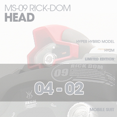 INJECTION] Rick-Dom HY2M 1/60 HEAD 04-02