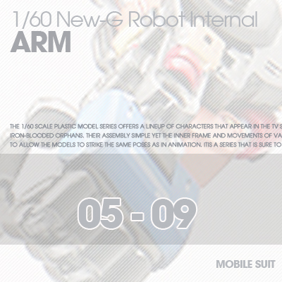 RESIN] INTERNAL FRAME ARM 05-09
