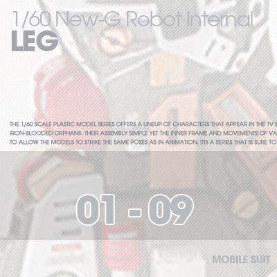 RESIN] INTERNAL FRAME LEG 01-09